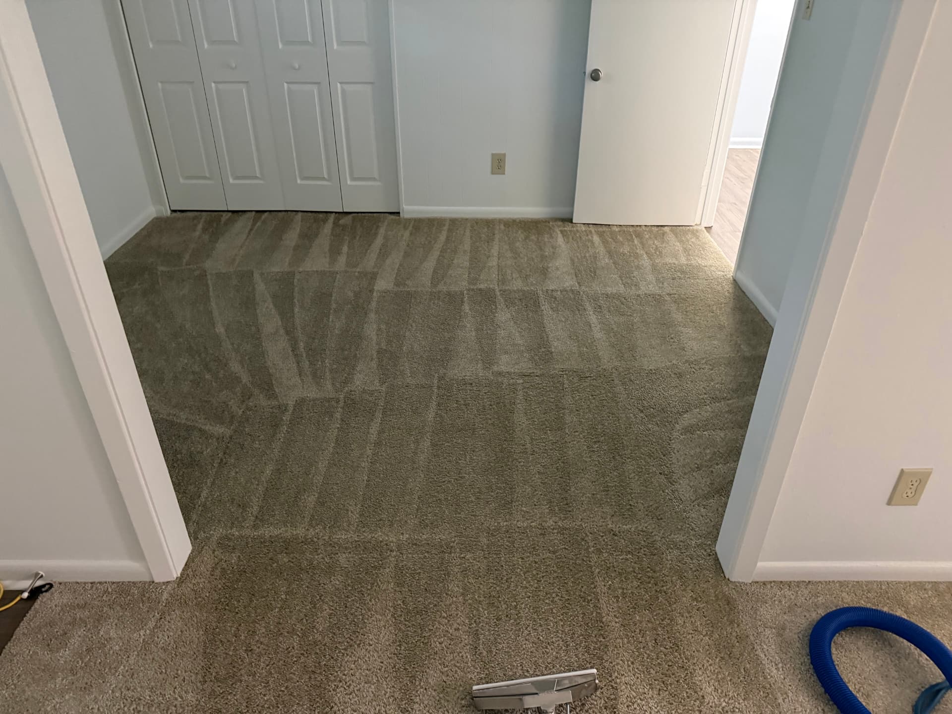 Bedroom carpet freshly cleaned with visible clean passes