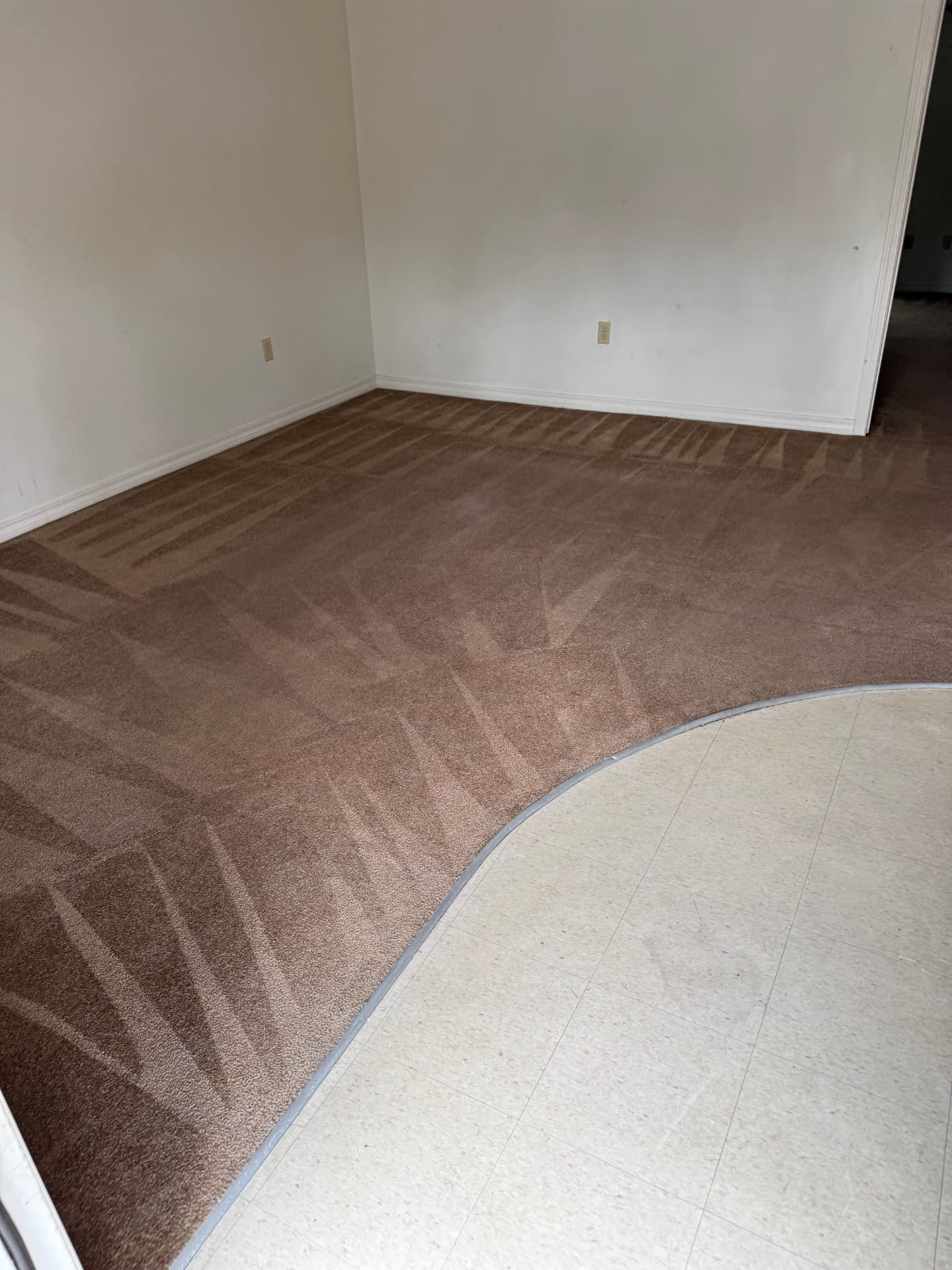 The same carpet after cleaning — fresh with clean lines