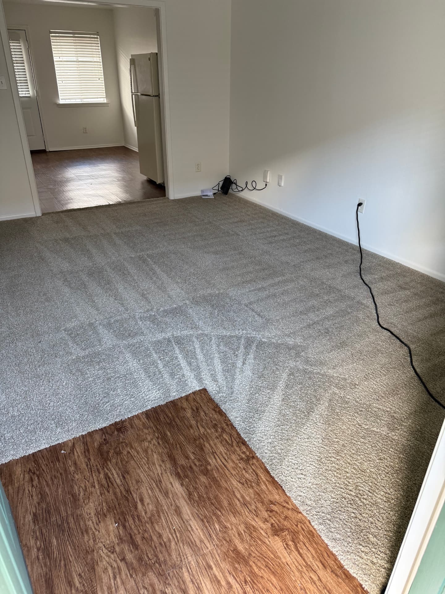 Apartment living room carpet freshly cleaned with visible passes