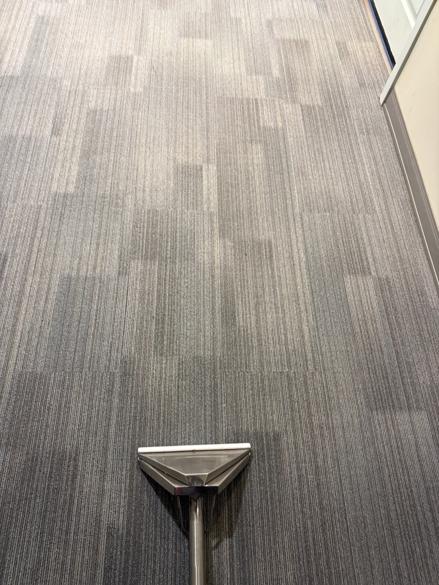 The same commercial carpet tiles after cleaning — fresh and even-toned