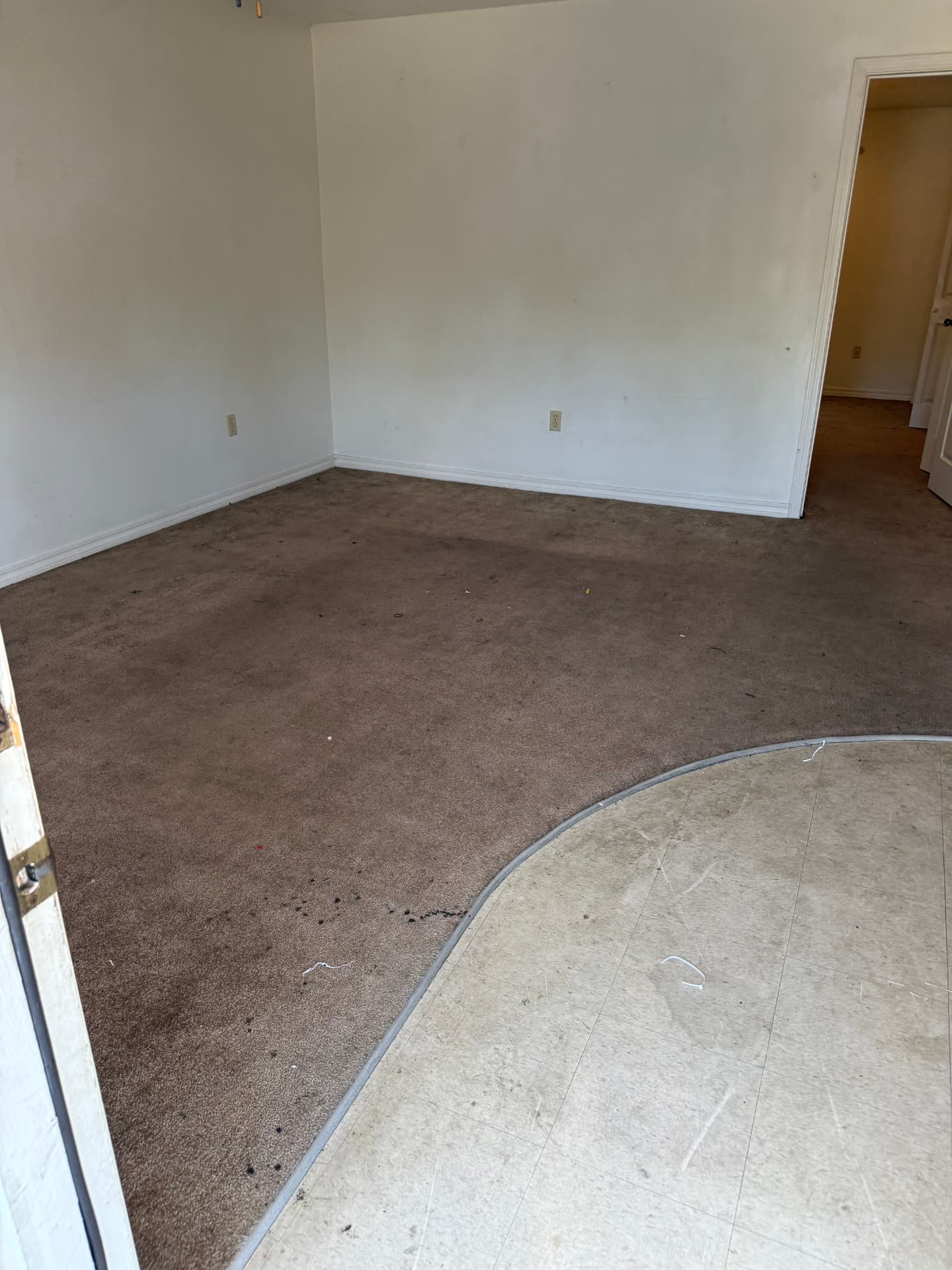 Carpet before cleaning — stained and soiled