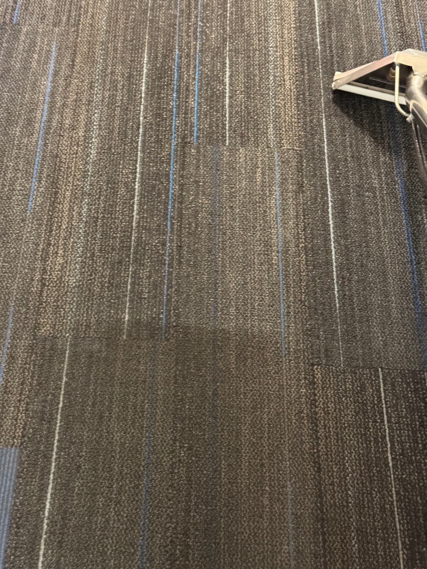 Professional cleaning wand working on commercial carpet tiles