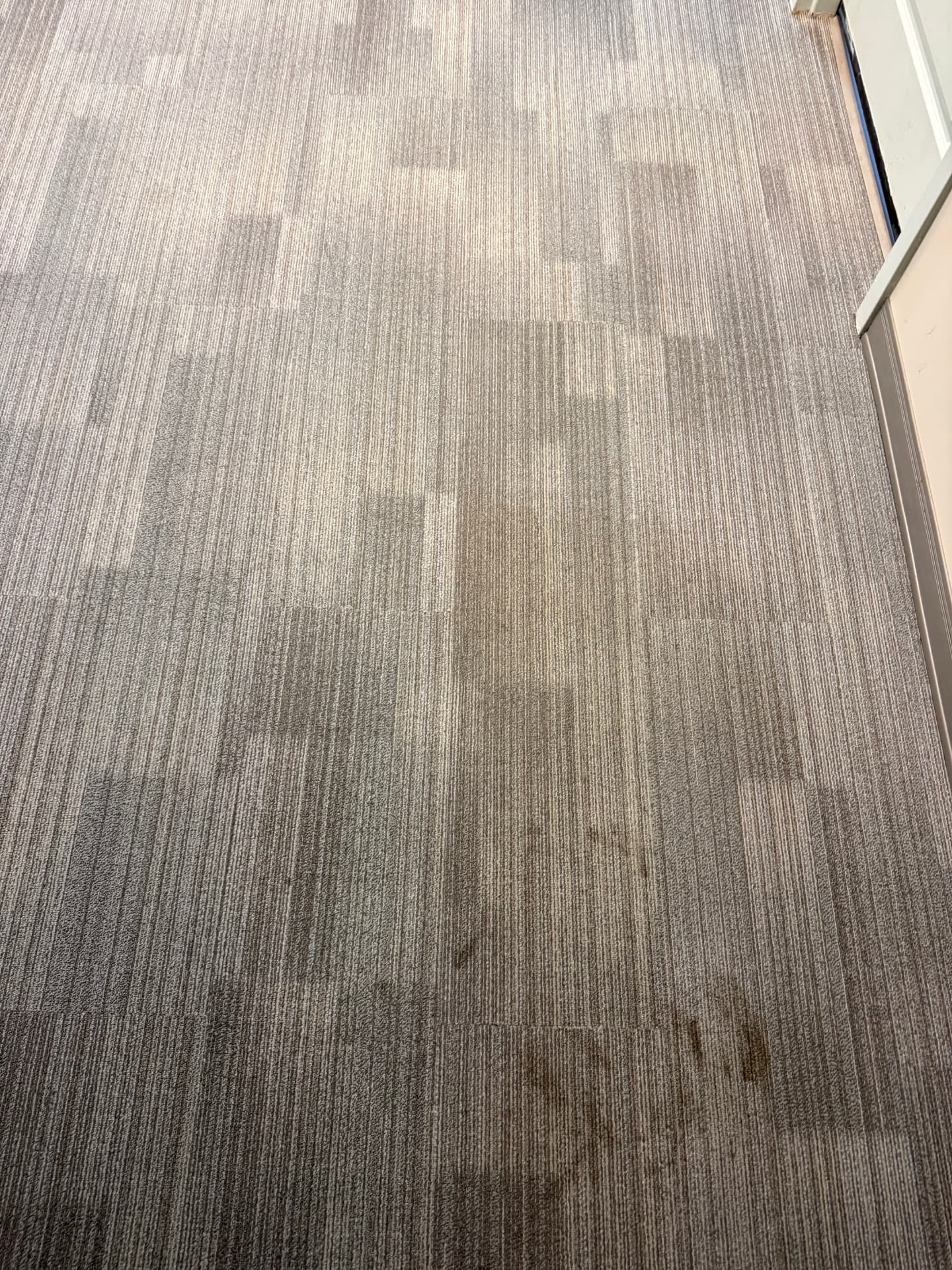 Commercial carpet tiles before cleaning — dull with visible stains