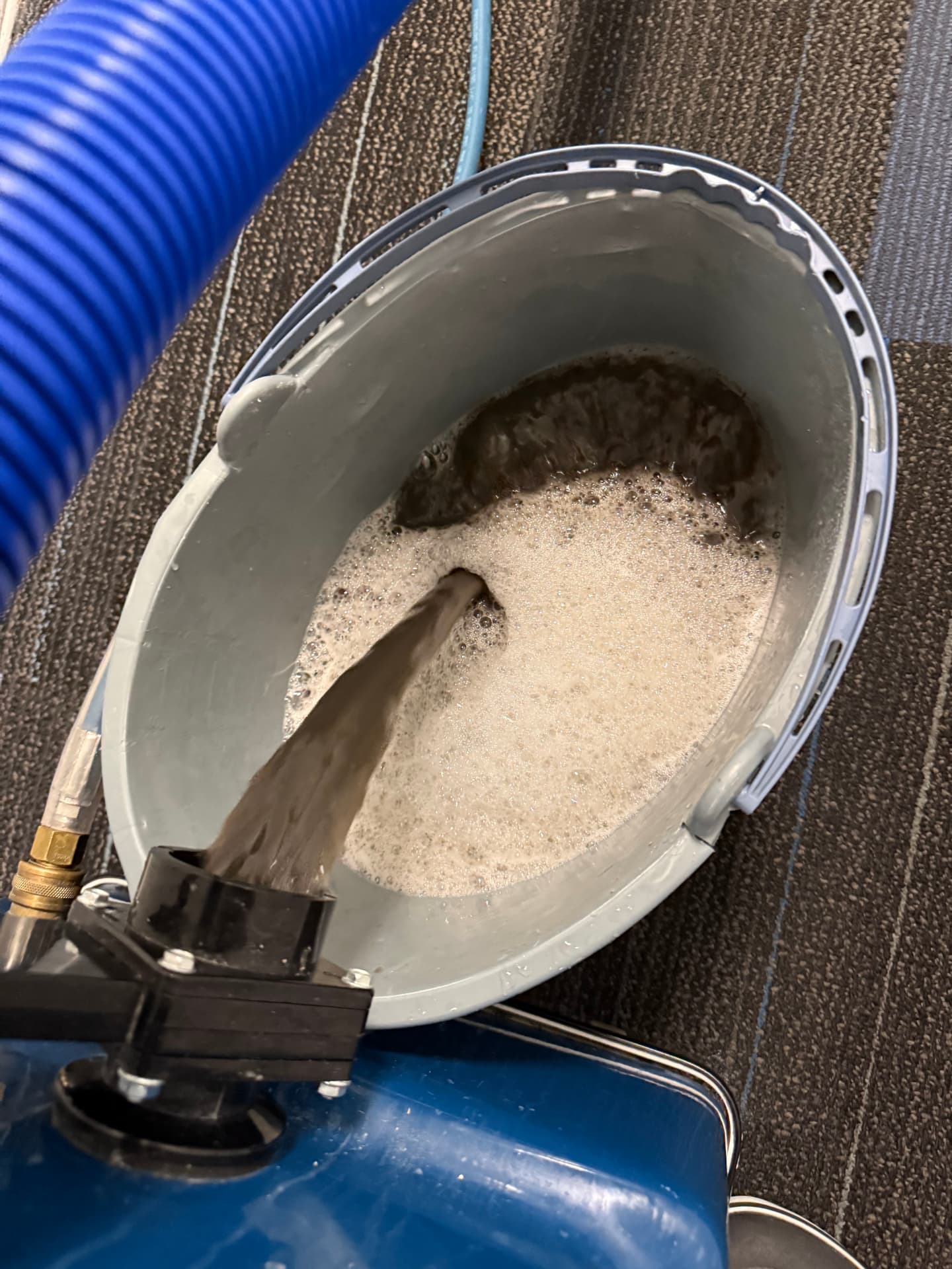 Dirty water being extracted from a carpet into a bucket